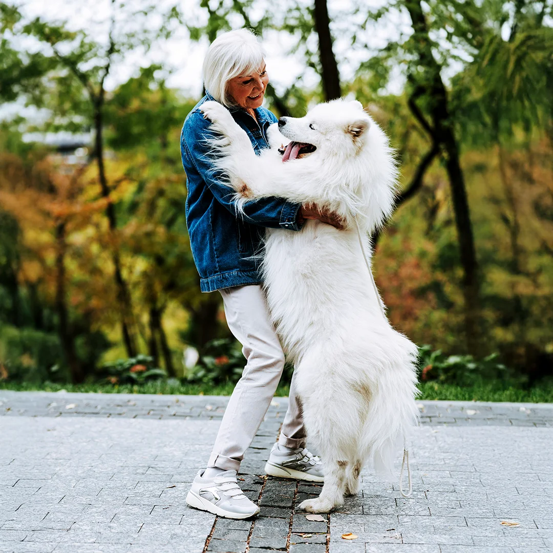 Smiling woman hugging a large fluffy white dog standing on hind legs outdoors