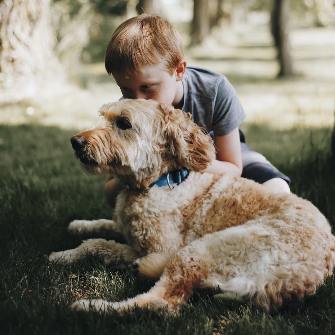 a young boy embracing a Goldendoodle dog.