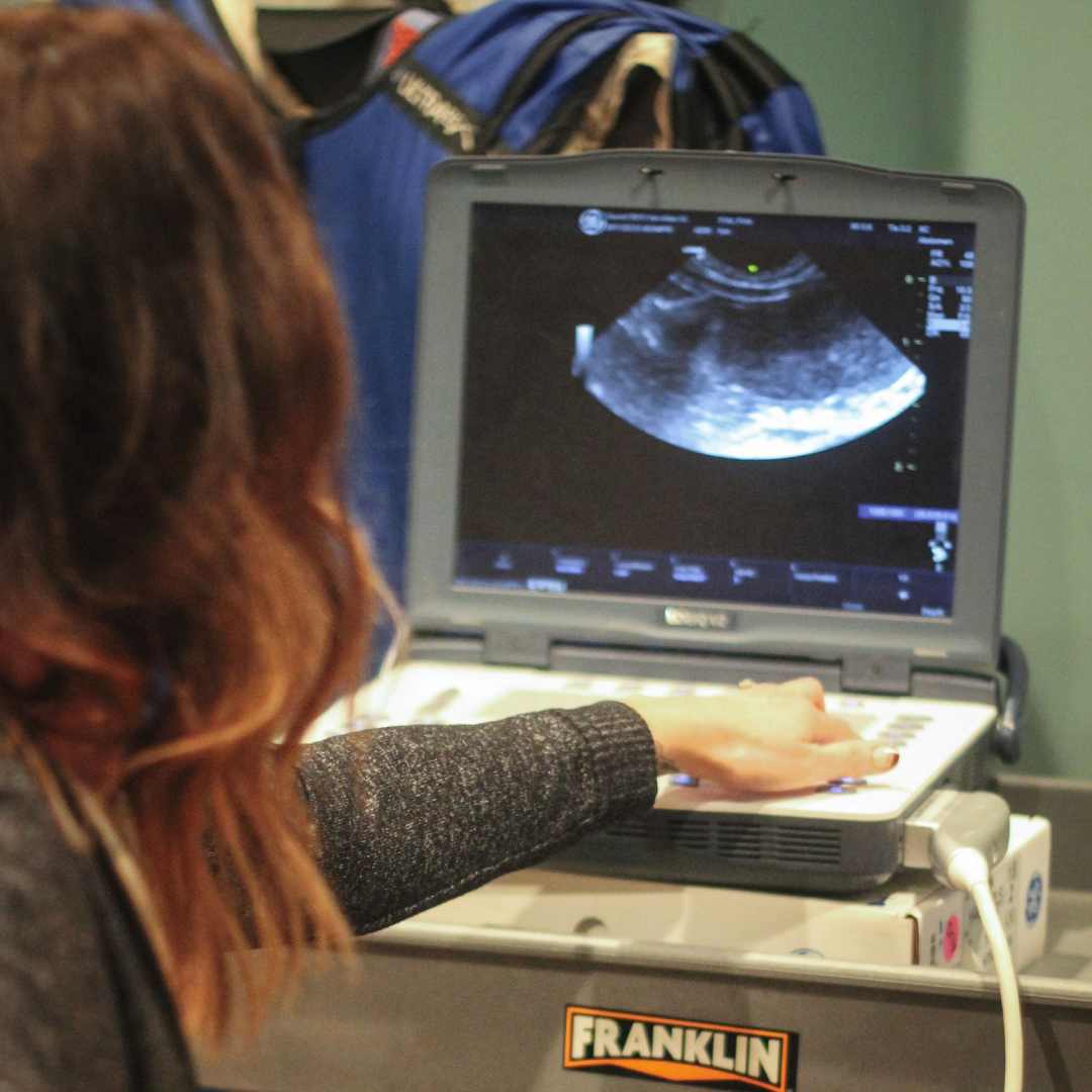Ultrasound